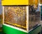 Beehive with transparent walls to observe the life of bees