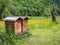 Beehive wooden house nature image