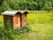 Beehive wooden house on a spring meadow