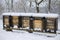 Beehives boxes in wintertime
