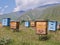 Beehives on colorful flower meadow in the mountains of Georgia.