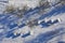 Beehives covered with snow in winter, aeriaL