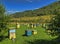 Beehives are exposed on a green glade in mountains