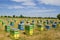 Beehives in a field