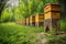 beehives forming a symmetrical design