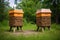 beehives forming a symmetrical design