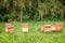 Beehives a green grassy field near a forest