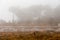 Beehives lined up in rows, beekeeping, foggy winter day background