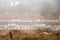 Beehives lined up in rows, beekeeping, foggy winter day background