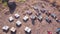 Beehives maintenance work. Aerial view of Bee Keepers while working.