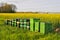 Beehives next to a Field of Rapeseed