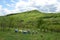 Beehives standing on the green hill