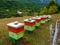 Beehives in Theth valley - Albania