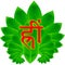 beej mantra hreem with green leaves background