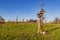 Beek, South Limburg, Netherlands. November 18, 2020. Tree of Life Forest. Small tree with personal items