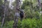 A beekeeper in the African forest