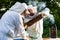 Beekeeper on apiary. Beekeeper is working with bees and beehives on the apiary.