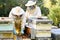 Beekeeper on apiary. Beekeeper is working with bees and beehives on the apiary.