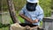 Beekeeper on apiary. Beekeeper is working with bees and beehives on the apiary. Beekeeper takes out frame with bees from