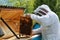 Beekeeper on apiary. Carpathian honey bee. Colonies bees on the frame of honeycombs. Wooden hives. Apiculture. Amazing spring