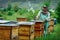 Beekeeper in an apiary near the hives. Apiculture. Apiary.