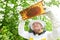 Beekeeper as apiarist holding honeycomb from beehive