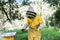 Beekeeper, bees flying close to the honeycomb