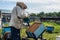 The beekeeper blows out bees from hive with blower to remove honeycomb.