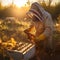 A beekeeper checking her hive. Wooden beehive with bees flying around in the setting sun.