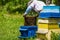 Beekeeper checking hive