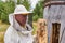 Beekeeper checks a bee colony in a traditional hive inside a log
