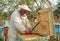 Beekeeper collects propolis. Apiarist is working in his apiary.