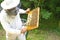 Beekeeper controlling beeyard and bees outdoor