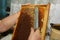 Beekeeper cuts off the wax from the honeycomb frame. Production of fresh honey. Collects the honey