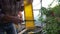 Beekeeper cuts wax from a honeycomb with honey