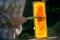 Beekeeper cuts wax from a honeycomb with honey