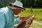 Beekeeper extracting the honey