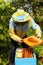 Beekeeper feeds bees with sugar syrup