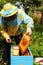 Beekeeper feeds bees with sugar syrup