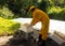 A beekeeper getting ready to perform a split at an apiary in the Caribbean