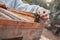 Beekeeper hands, wooden box and honeycomb frame on countryside farm, insect farming environment or agriculture nature