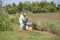 Beekeeper during harvesting honey and many hives with bees in th