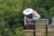 A beekeeper at his hives