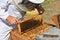 Beekeeper holding frame of honeycomb with working bees