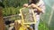 Beekeeper holding a framework full of bees