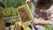 Beekeeper holding a honeycomb full of bees closeup