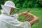 The beekeeper holds a honey cell with bees in his hands. Apiculture. Apiary.