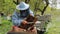 The beekeeper holds a honey frame with bees in hands and cuts bad bees brood. Beekeeper at work, removing excess