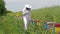 Beekeeper inspecting his beehives