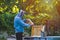 The beekeeper inspects the frame with the queen cells on the apiary in the evening in the rays of the setting sun. Large apiary in